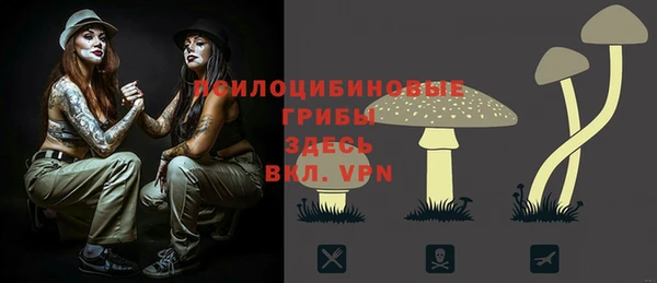 прущие крисы Алексеевка
