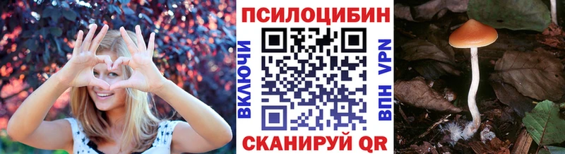 Галлюциногенные грибы мицелий Алагир